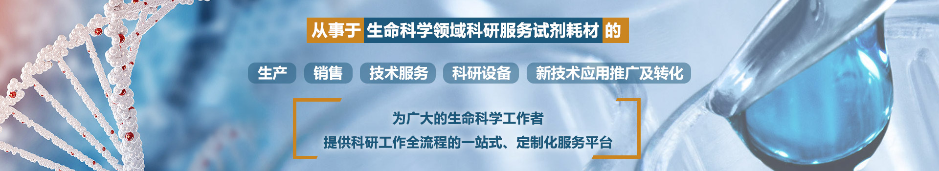技术服务